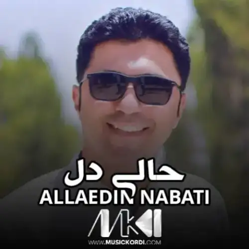 حالی دل